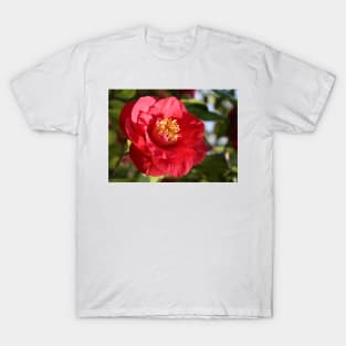 Camellia japonica T-Shirt